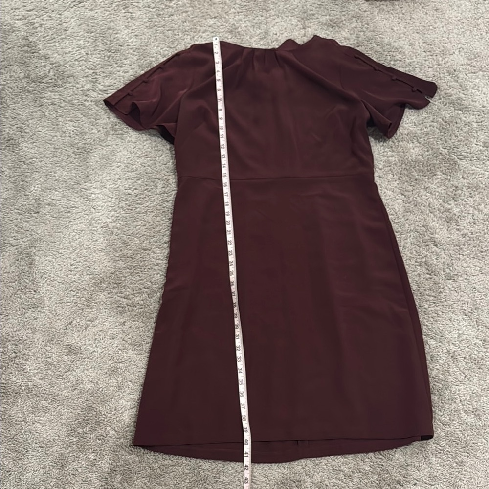 Elegant Burgundy Dress - Picture 2 of 6